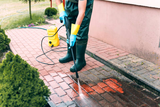 Solar Panel Cleaning in Neptune City, NJ